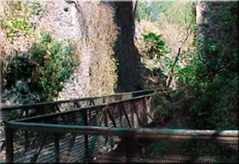 Barrancas de Amanalco