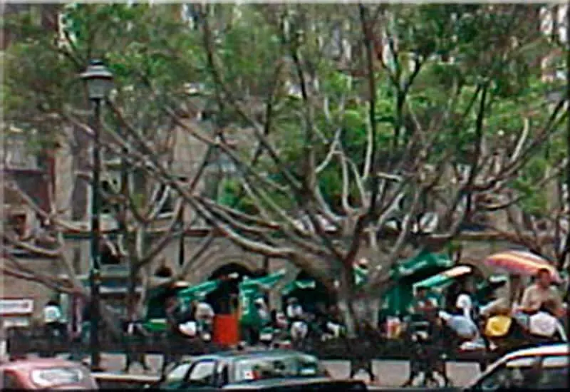 Jardín Juárez