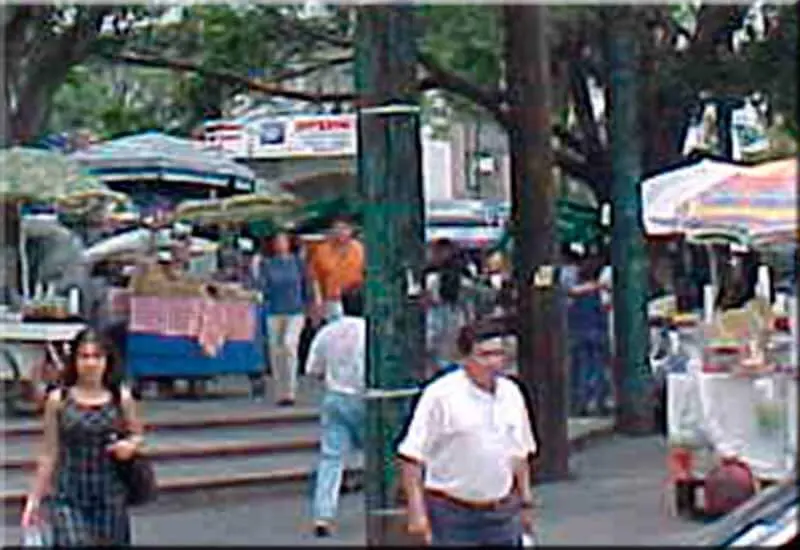 Jardín Juárez
