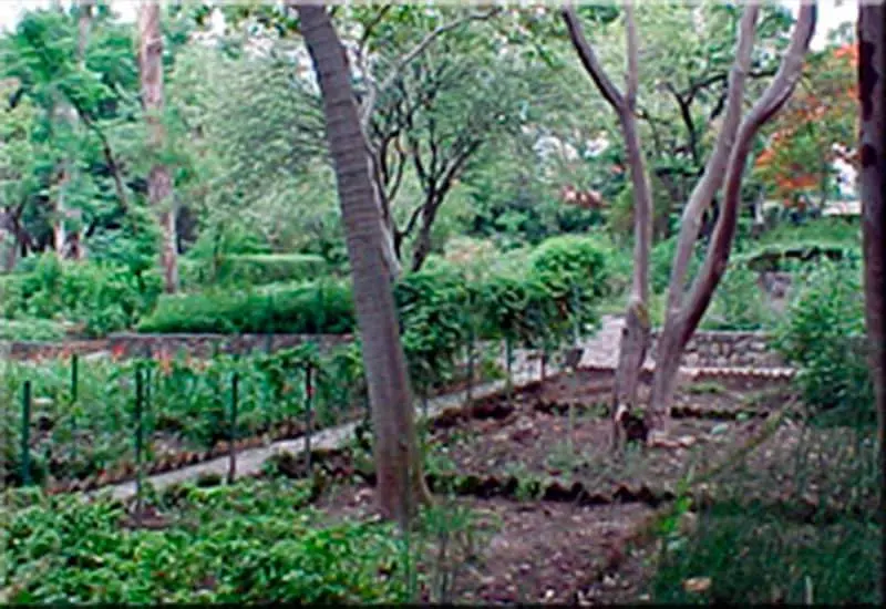 Jardín Etnobotánico