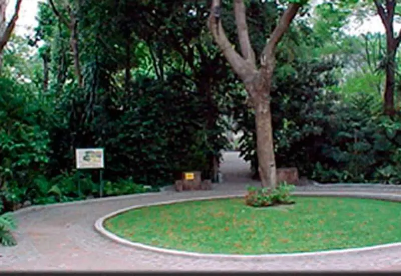 Jardín Etnobotánico